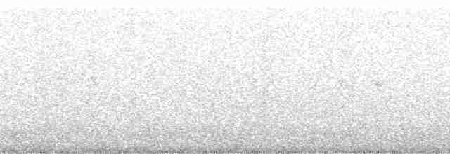 Tristan Ardıcı - ML204761