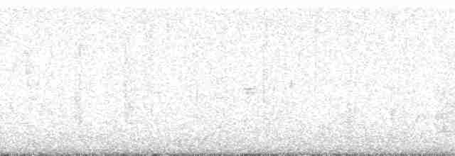 Tristan Ardıcı - ML204767