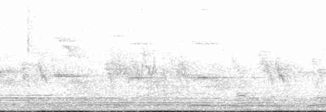 Clamorous Reed Warbler (Brown) - ML204780