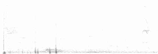 Purpurbrust-Fruchttaube - ML20523361