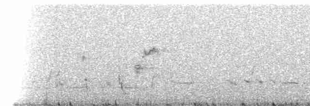 hvitpannehonningeter - ML20544