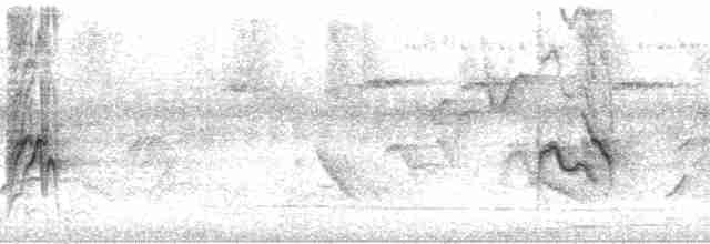 Tangara à croupion rouge (passerinii) - ML205466