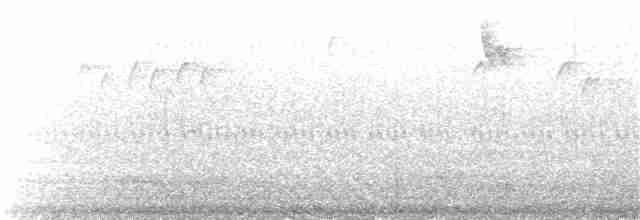 Золотомушка світлоброва - ML20548891