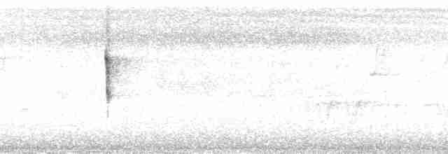 Мухолов-клинодзьоб сірий - ML205494