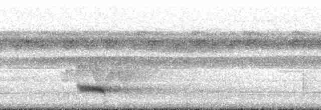 tukan volavý (ssp. vitellinus) - ML205514