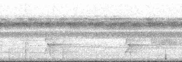 Kara Başlı Karıncakuşu (rufifrons/subcristata) - ML205515
