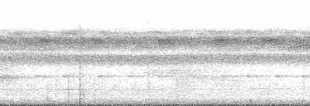 Kara Başlı Karıncakuşu (rufifrons/subcristata) - ML205516