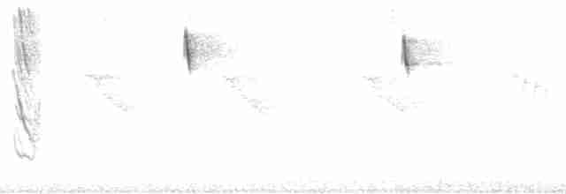 Colibri de Cuvier (groupe cuvierii) - ML205539