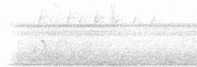 Чешуйчатогрудый саблекрыл [группа cuvierii] - ML205775