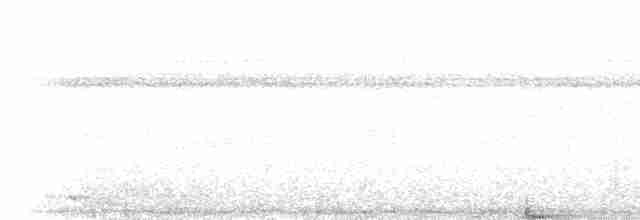Колібрі-шаблекрил мангровий [група cuvierii] - ML205786