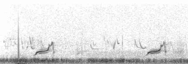 Elegant Crested-Tinamou - ML20613