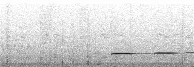 Pheasant Cuckoo - ML20626781