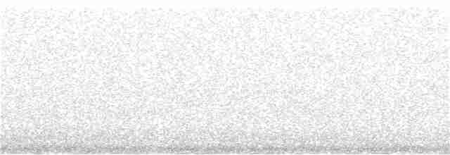Тасманийский ворон - ML206358191
