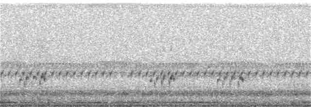 Травяная сипуха - ML206360211