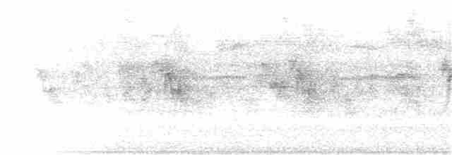 rusthalekolibri (tzacatl gr.) - ML206401251