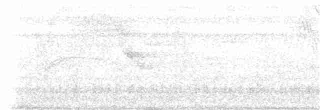 Tyranneau nain (cristatus) - ML206411991