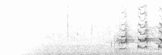 Rufous-necked Wryneck (Rufous-necked) - ML206424921