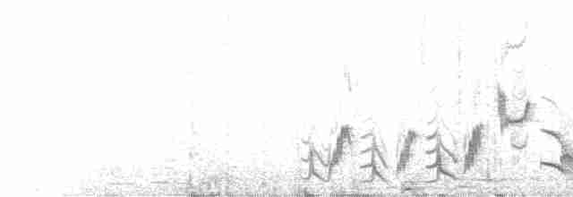 Кактусовый пересмешник - ML206504721