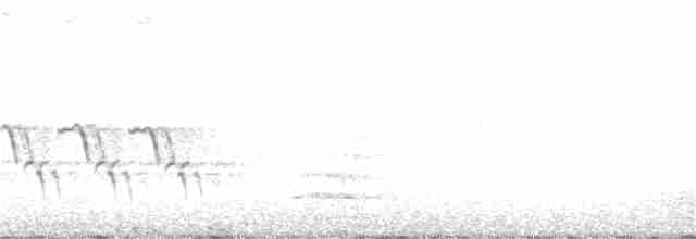 Karolina Çıtkuşu - ML206607601