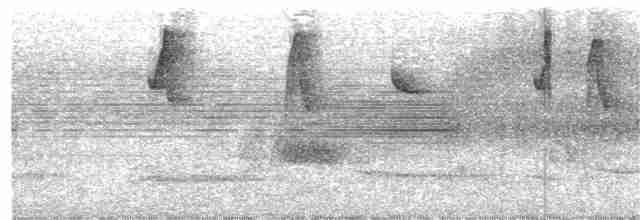 Чешуегорлый колибри-отшельник - ML20679091