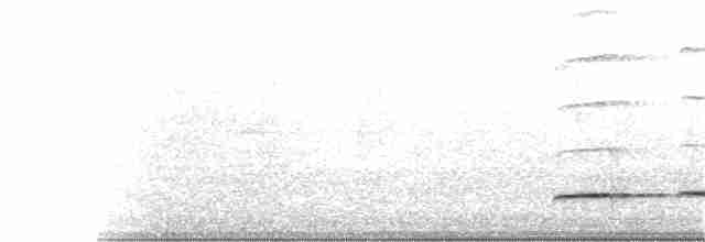 Pheasant Cuckoo - ML206833401