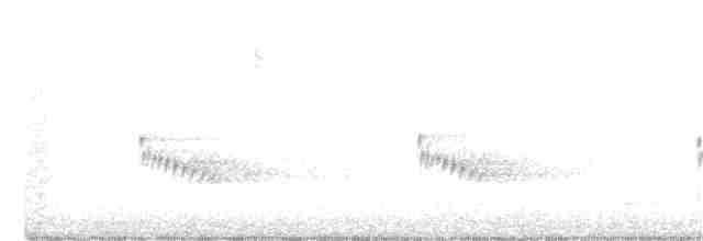 Каролинский крапивник - ML206855881