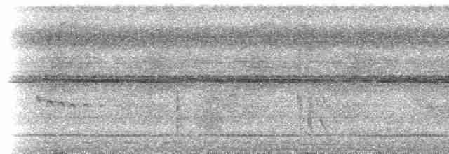  - Crocker Jungle Flycatcher