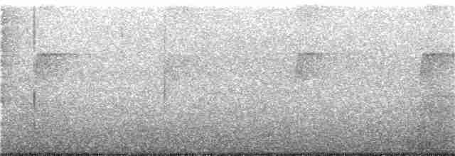datlíček zlatoflitrový (ssp. buffonii) - ML206952631