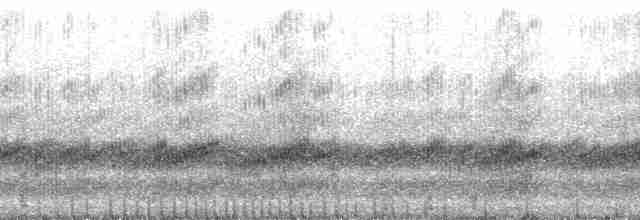 Brimley's Chorus Frog - ML207011