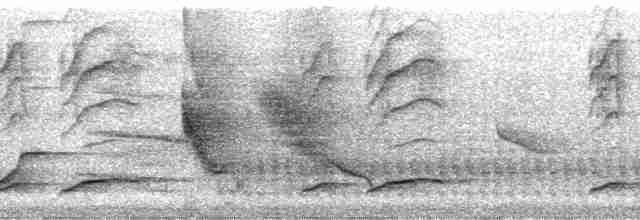 Желтоклювый кассик (holosericeus/flavirostris) - ML20709