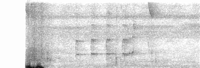Todirostre zostérops - ML207149841