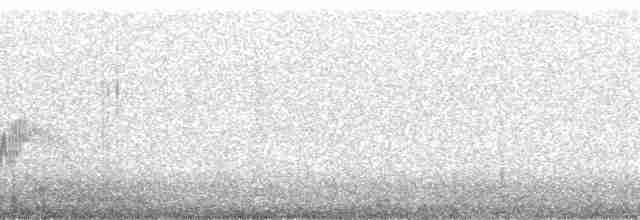 Кам’янка звичайна (підвид oenanthe/libanotica) - ML207164