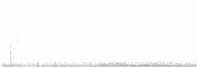 Kara Kuyruklu Bitkuşu - ML207226381