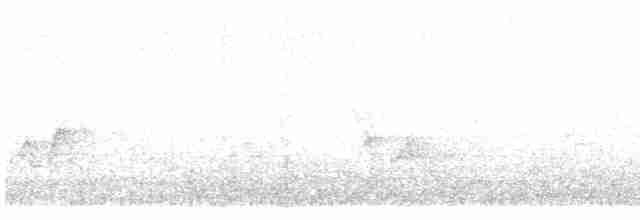 Cerulean Warbler - ML207226831