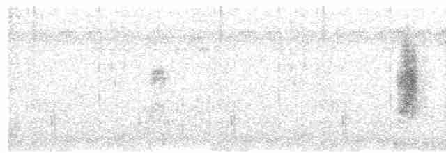 חרטומית סיבירית - ML207242541