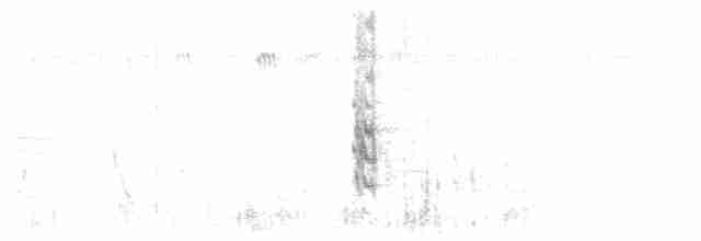 חרטומית חדת-זנב - ML207242571