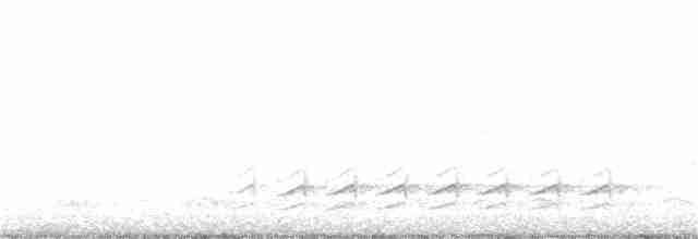 Weißbrustkleiber - ML207285681