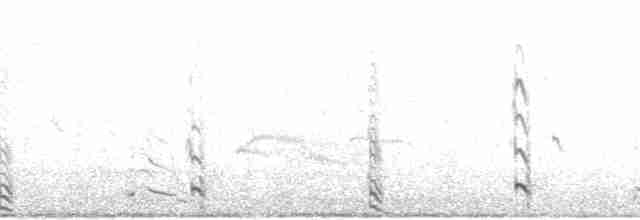 Короткохвостый поморник - ML207300