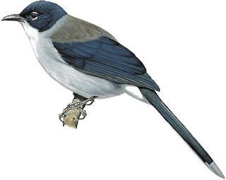 Onlayn porno manikyurchini tomosha qiling