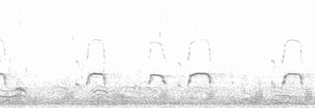 Кулик-сорока (ostralegus/longipes) - ML207348