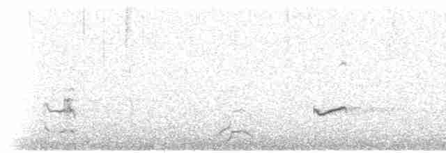 Дрізд білобровий (підвид iliacus) - ML207387