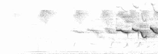 Золотогорлая белоглазка - ML207387291