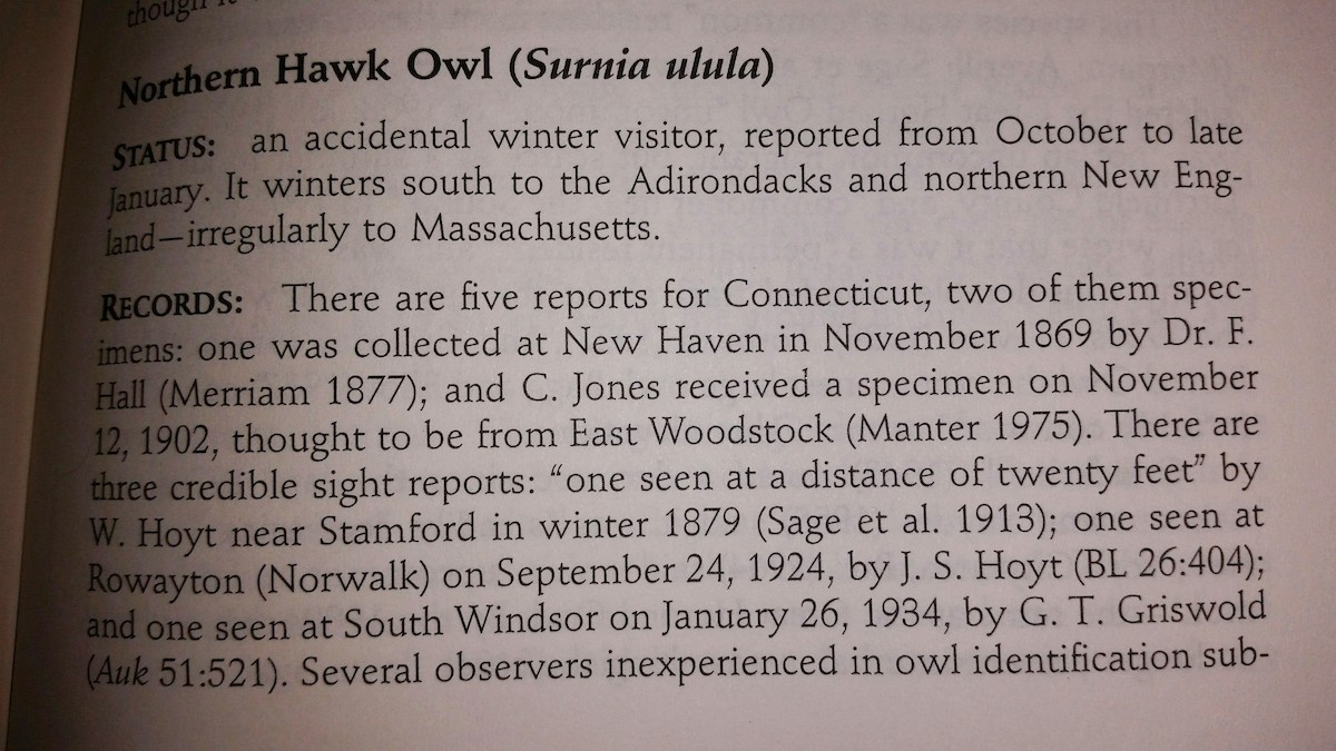 Northern Hawk Owl - COA Archives