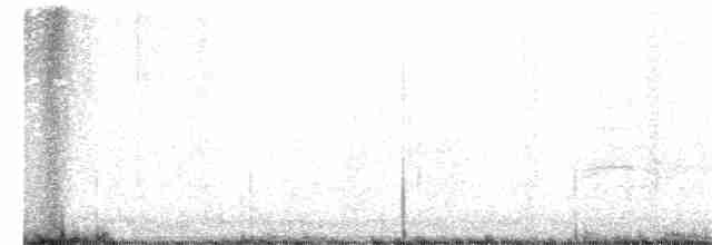 Gray Catbird - ML207475061