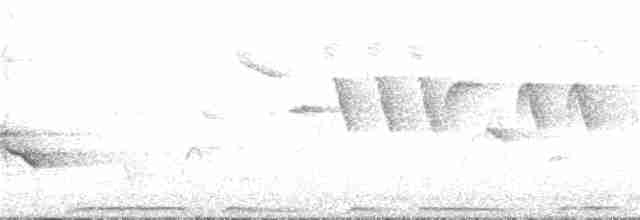 holub hřivnáč [skupina palumbus] - ML207480021