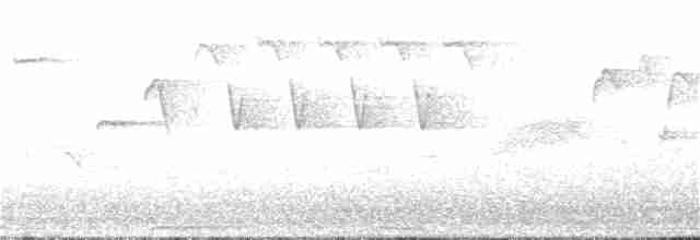 střízlík obecný (ssp. indigenus) - ML207480181