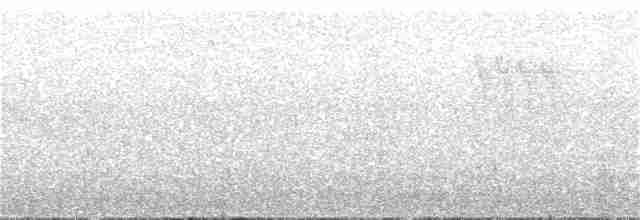 White-throated Dipper - ML207480271