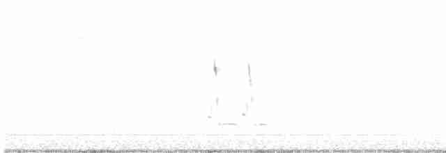 Loggerhead Shrike - ML207536481
