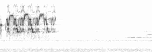 Дрізд-короткодзьоб плямистоволий - ML207547