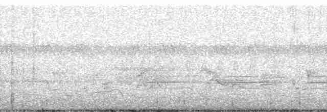 strakapoud bělohlavý - ML207549